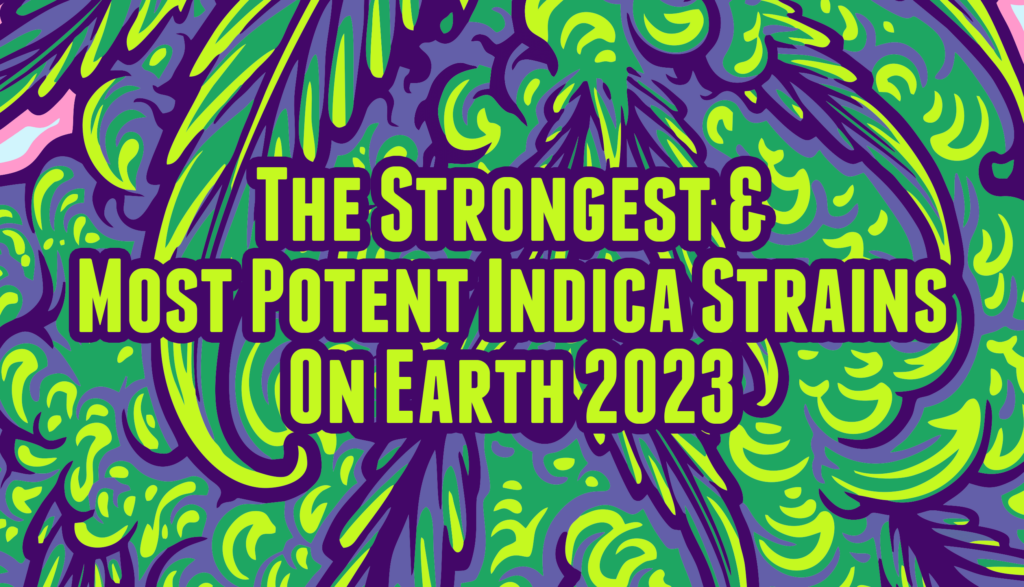 Best Indica Strains Of 2023 - Strain Guide - 50 Shades Of Green